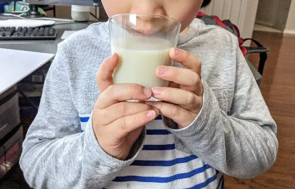 Planet Oat Oatmilk son tries