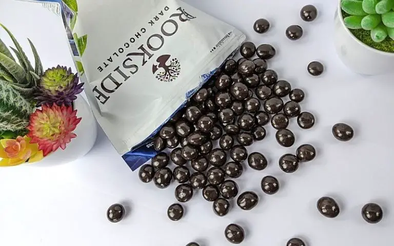 Review: Brookside Dark Chocolate Acai & Blueberry – Surprisingly Delicious!